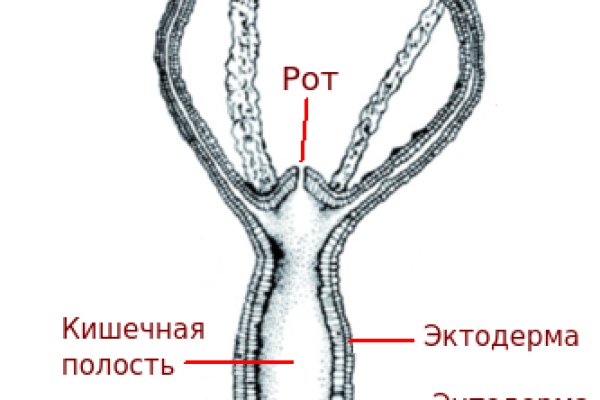 Ссылка на кракен kr2link co