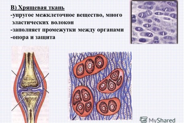 Кракен сайт зеркало рабочее