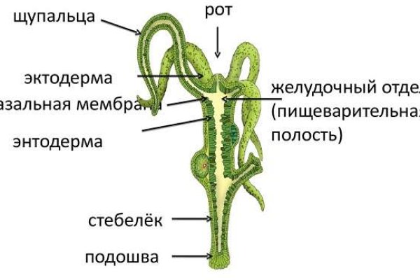 Кракен ссылка маркет